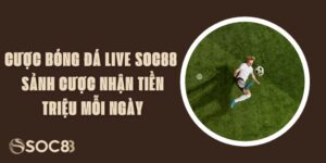 Cược Bóng Đá Live